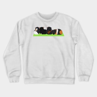 Animals - Guinea pig family Crewneck Sweatshirt